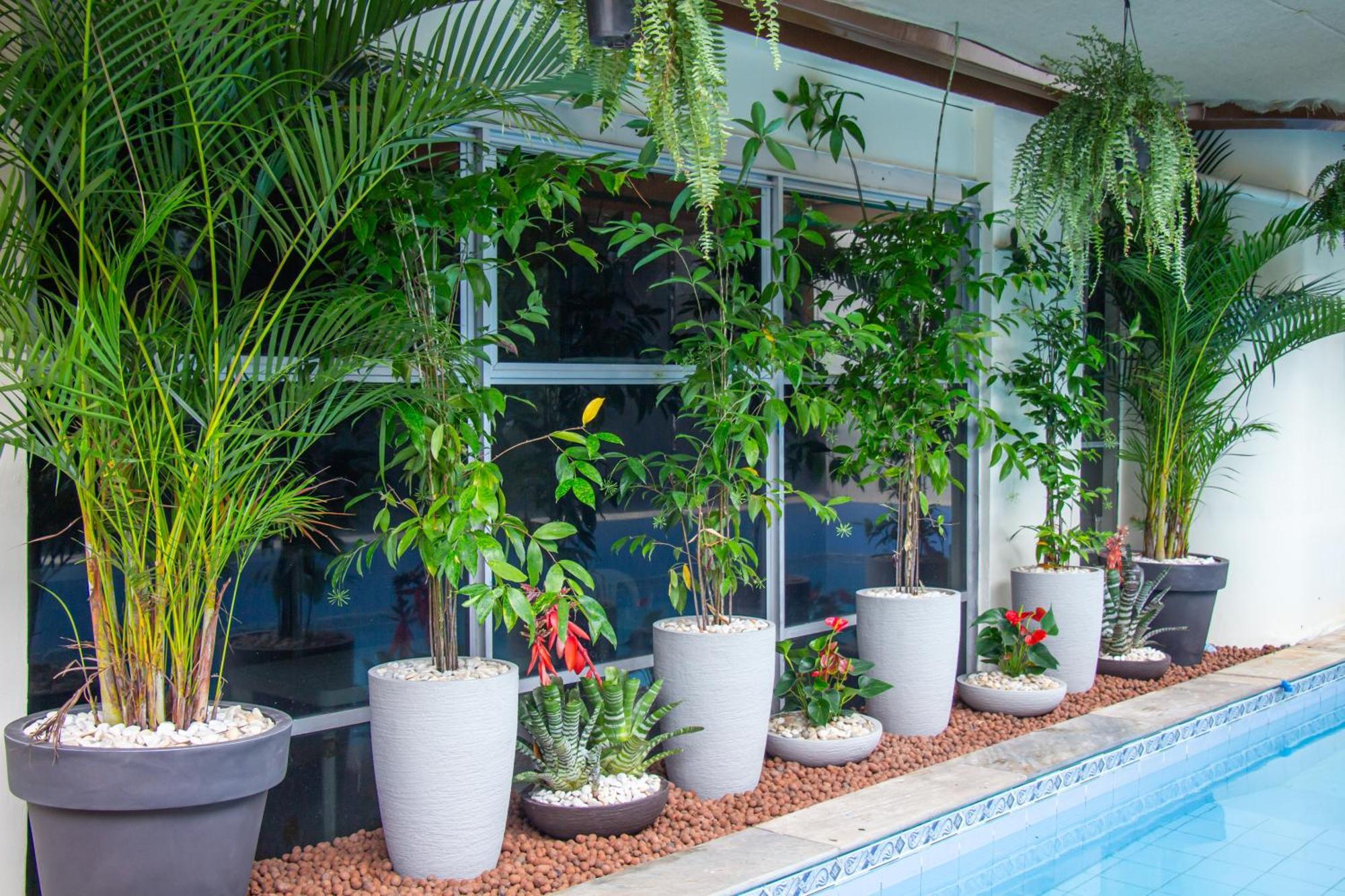 Prestige Manaus Hotel エクステリア 写真